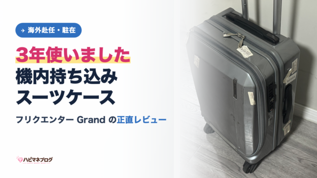 3年使った機内持ち込みスーツケース、フリクエンターGrandの実物写真。空港のバゲージタグが複数付いている